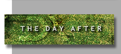 thedayafter.pl